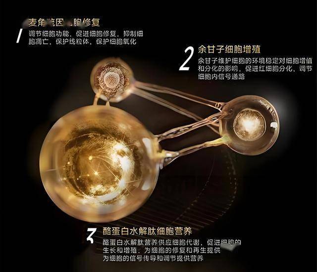 ea智慧交易平台编程背后的秘密，你绝对想不到！